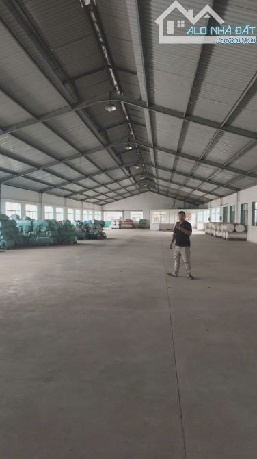 Cho thuê SIÊU PHẨM kho xưởng 3.000m2 đường Hương Lộ 80, P. BHH B, Q. Tân Bình. - 8