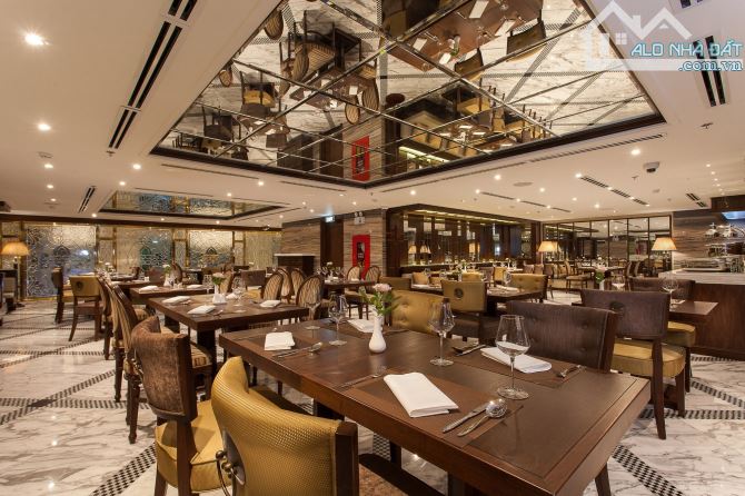 Bán Khách Sạn MP Trần Hưng Đạo 420m2 12 Tầng Mặt tiền 12m, trung tâm Hoàn Kiếm, Giá 460 tỷ - 8