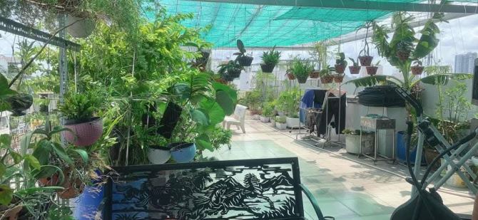 Bán NT cao cấp căn góc MTKD Thoại Ngọc Hầu Tân Phú 7x29m đúc lửng 5 lầu giá 25 tỷ TL - 9