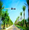 Đất nền view biển chỉ 600TR/nền Ngay MT Huỳnh Thúc Kháng,SHR,XDTD