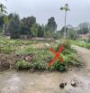 Chính chủ cần bán gấp lô góc ba mặt thoáng tại trung tâm khu đấu giá Chi Đông, Lệ Chi