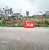 Bán 122m đất Tam Dương cách trường chuyên VP 1.5km giá tốt 1,x tỷ