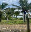 🌴 BÁN ĐẤT VƯỜN CÓ SẴN DỪA – VĨNH AN, VĨNH CỬU, ĐỒNG NAI 🌴