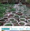 🌈 RẤT THIỆN CHÍ BÁN GIÁ HỢP LÝ.Đ.PHƯỚC LÝ 14.P.HOÀ MINH.Q.LIÊN CHIỂU.TP.ĐÀ NẴNG.