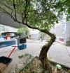 Bán nhà gần 200m2 mặt tiền kinh doanh gần Đền Thánh Martin P.Hố Nai mới ( Tân Hoà cũ )