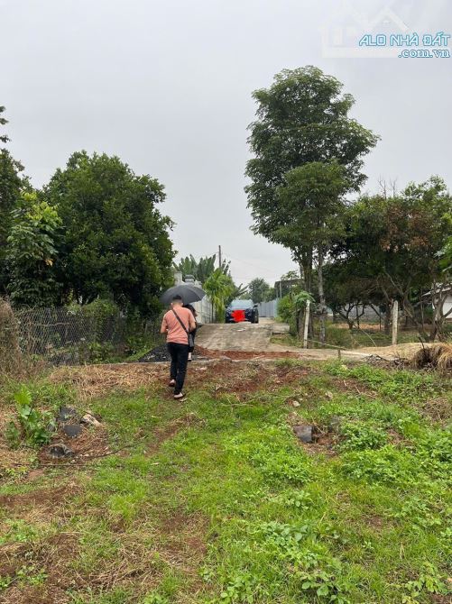 🌿 CHỈ 2 TỶ 550 TRIỆU – ĐẤT VIEW SUỐI P.KHÁNH XUÂN 🌿
