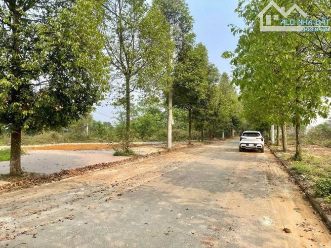 CÒN 01 LÔ DUY NHẤT 100M2 TĐC ĐHQGHN