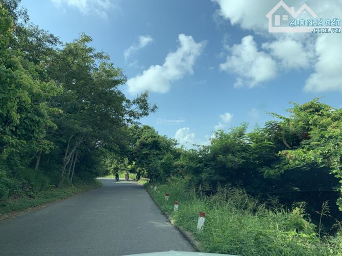 🌿🌊 BÁN ĐẤT BIỆT THỰ VIP – NÚI VI BA, VŨNG TÀU 🌊🌿