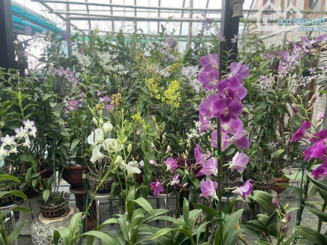 SIÊU VỊ TRÍ TRƯỜNG CHINH – ĐỐNG ĐA, 67M², 5 TẦNG, GIÁ CHỈ 8 TỶ XÍU – ĐẦU TƯ GIỮ TIỀN CỰC T