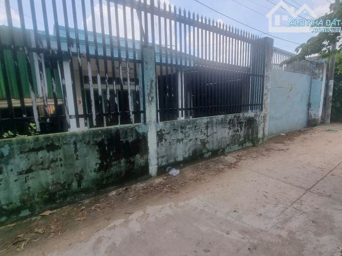 Bán rẻ đất FULL THỔ CƯ 919m2 Bình Chánh