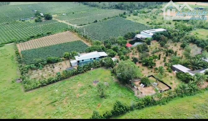 💥Bán trang trại 2ha2 tại xã Tiến Thành - TP Phan Thiết