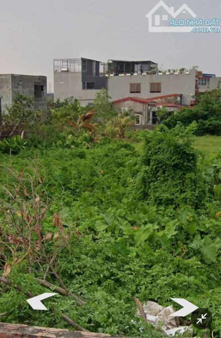 Siêu phẩm 1275m² đất Đồng Thái – Huyện An Dương vừa xuất hiện, giá chỉ 25 triệu/m²!