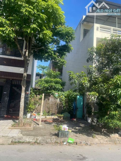HOA HẬU ĐẤT-MB530 ĐÔNG VỆ- GẦN MƯỜNG THANH