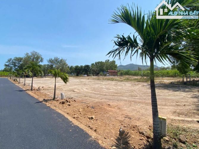BÁN LÔ ĐẤT 2 MẶT TIỀN PHƯỚC HẢI (Long Mỹ cũ) – VỊ TRÍ ĐẸP, GIÁ CHỈ TỪ 780 TRIỆU