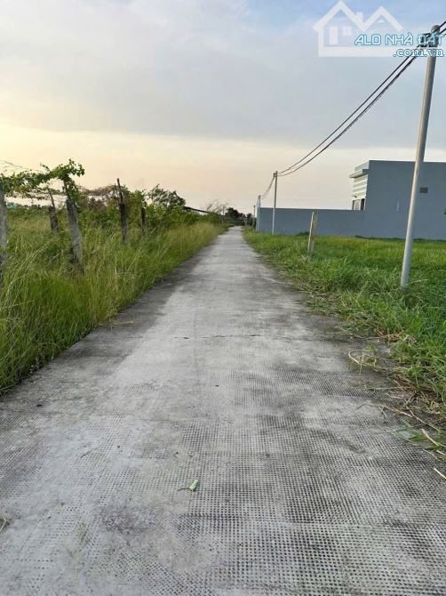 ✅ Bán 183.4m2 đất lúa cách 827B chỉ 400m thuộc Phú Ngãi Trị , Châu Thành _ DT: 4.5 x 40m2