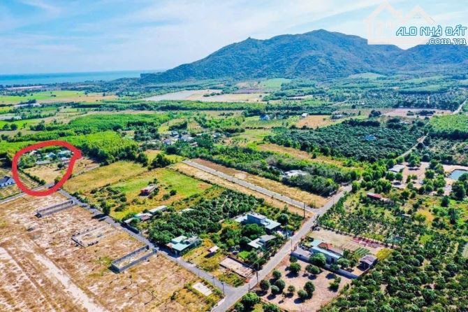 Bán đất xã Phước Hải, TP.HCM, cách biển 4km, diện tích 178m², giá tốt