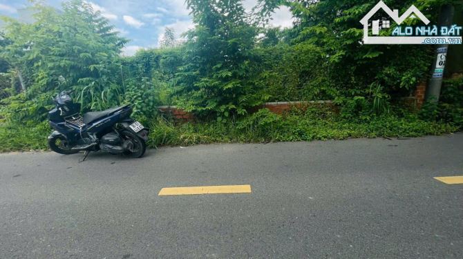 Bán đất mặt tiền đường nhựa Phước Hội – Xã Phước Hải, TP. HCM