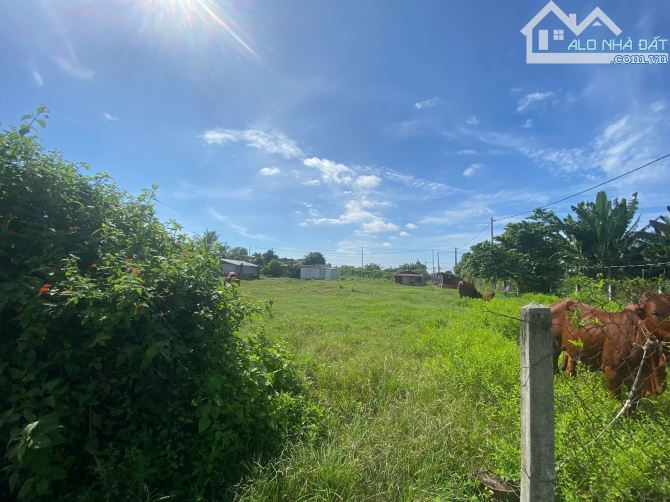 🌟 SIÊU PHẨM gần 1100m2 ĐẤT PHƯỚC HẢI – GIÁ CHỈ 4 TỶ 🌟  📍 Vị trí: Khu biệt thự Phan Gia