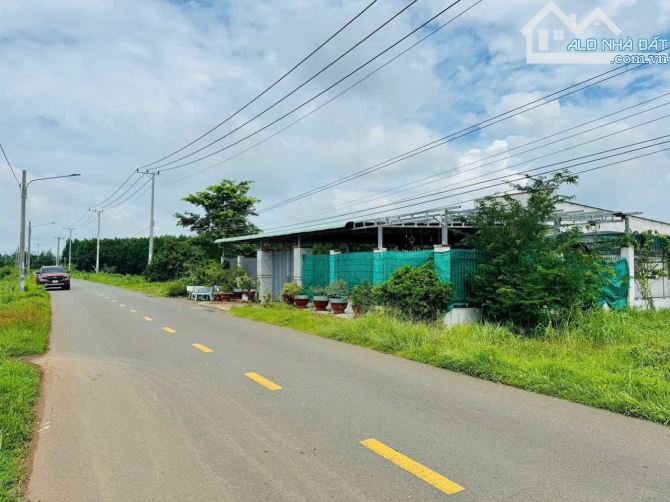 DÂN GỐC KẸT TIỀN BÁN SIÊU RẺ- NGAY CỔNG KHU CÔNG NGHIỆP ĐẤT ĐỎ- ĐƯỜNG TRƯỚC ĐẤT QUY HOẠCH