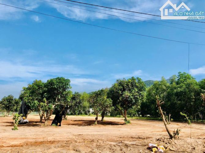 🌿 Bán đất Hồ Sở Bông – Gần biển Phước Hải, view núi Minh Đạm, 1,3 tỷ