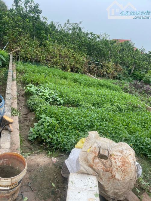 🤩 Siêu Siêu Đẹp - 15m ra trục chính - Ô Tô tránh   🏝️🏝️Thư Phú - Thường Tín - Hà Nội  ⛔