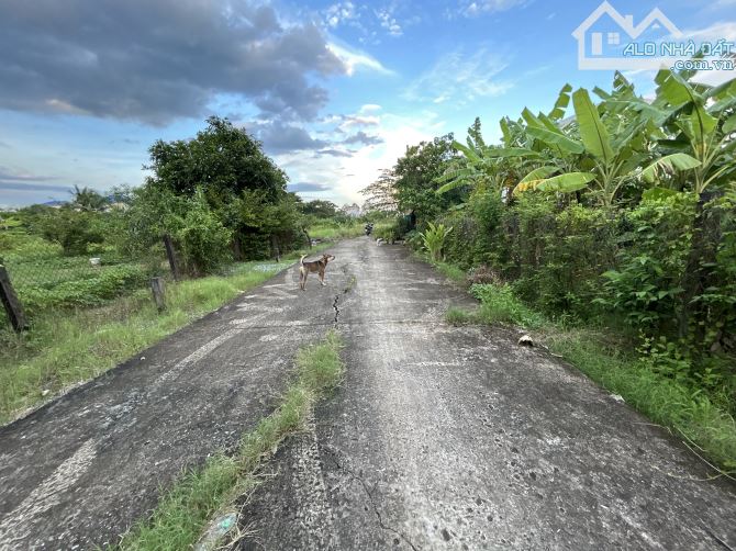 ✅ Bán 279m2 thổ + 283m2 lúa đường 4m hẽm Đinh Thiếu Sơn , Phường 7 , TP Tân An _ 10x56m2