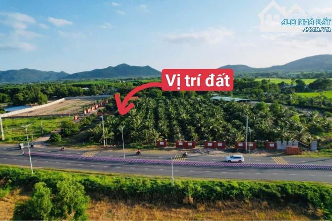 🏡 BÁN ĐẤT TT PHƯỚC HẢI – 600M² (10x60) QUY HOẠCH ĐẤT Ở, MẶT TIỀN ĐƯỜNG NHỰA, GIÁ 2,45 TỶ