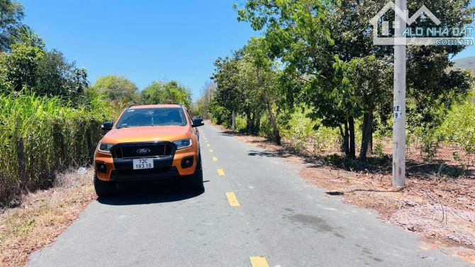 THỊ TRẤN PHƯỚC HẢI - BRVT - CÁCH BIỂN CHỈ 3KM ( Xã Phước Hải- TP HCM)
