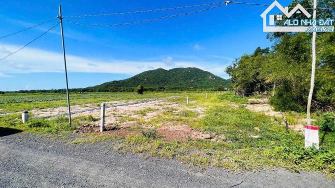 🌿 Đất nghỉ dưỡng Phước Hải – 802,4m² view núi, gần biển, giá 2,7 tỷ 💎