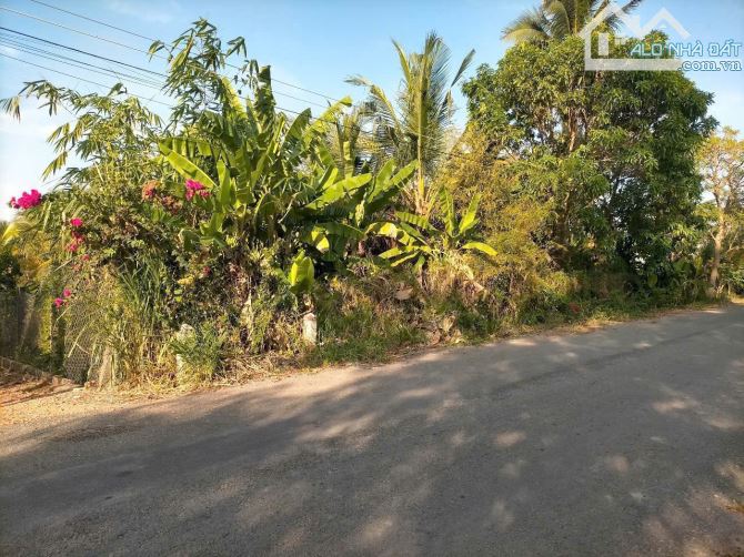 2287m2 đất mặt tiền Nhựa 9m Tân An Long An ngang 33 dài 55
