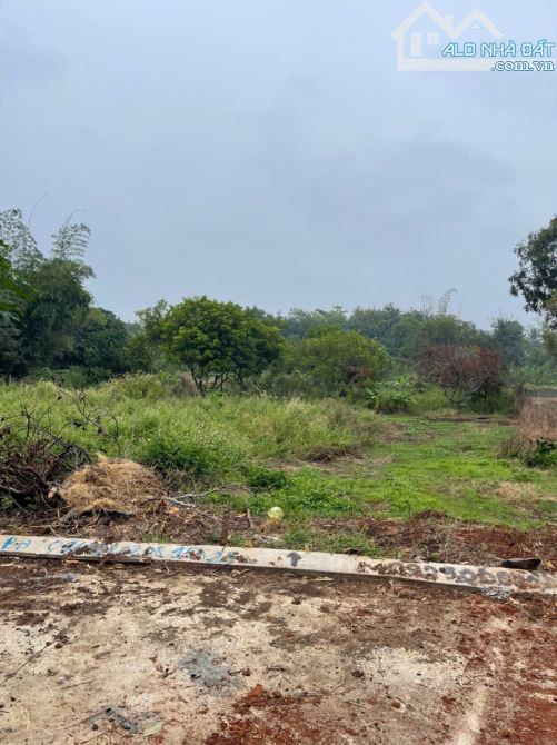 🌿 CHỈ 2 TỶ 550 TRIỆU – ĐẤT VIEW SUỐI P.KHÁNH XUÂN 🌿 - 1