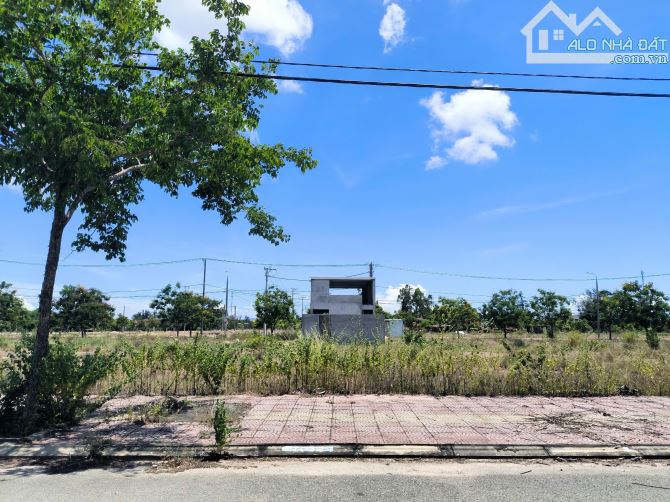 Bán Đất Biệt Thự 312m2 Dự Án Cầu Hưng Lai Nghi B1.20 Hướng Bắc Đường 7m5 Giá 16.5tr/m2 - 1