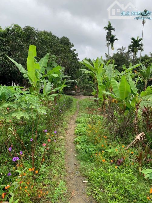 Bán lô đất đường ô tô phường Tây Nha Trang - 1