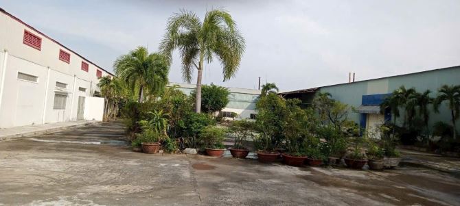 Ngộp, xưởng 13.859m2 có 9859m2 SKC, xd 3586m2, MT TL827, Châu Thành, Long An - 1