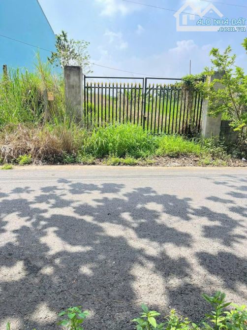 212m2 Tân Thông Hội - ql22 rẽ vào 500m2 - Võ Thị Giòn chủ kẹt ngân hàng bán nhanh 620trieu - 1