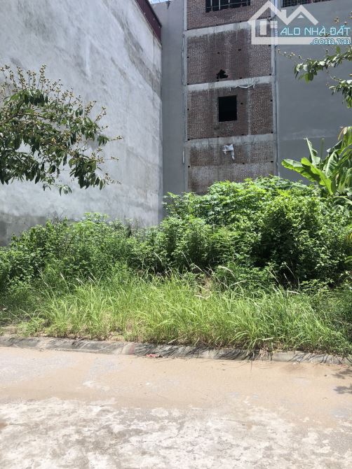 Bán Đất Trâu Qùy ( Xã Gia Lâm ) Tái Định Cư Trâu Qùy 32.7m Ô tô Tránh Vỉa hè - giá 6.5 tỷ - 1