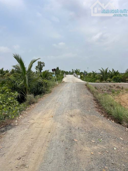 4871m2 đất lúa cạnh đường Vành Đai 3, xã Tân Hòa, Bến Lức, Long An giá 3,9 tỷ - 1