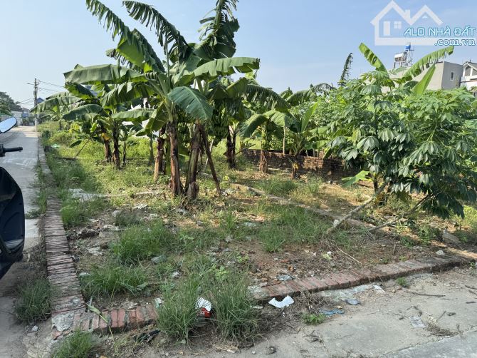 🎯 💥 BÁN 50m2 ĐẤT THỊ TRẤN QUANG MINH – CƠ HỘI VÀNG CHỈ NHỈNH 3 TỶ! 💥 - 1