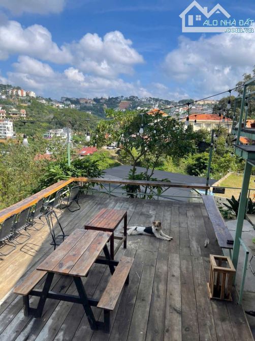 🏡✨✨BÁN BIỆT THỰ HOÀNG HOA THÁM✨✨ - P10 - ĐÀ LẠT -🛣️ VIEW THUNG LŨNG CHỈ VỚI 37.5 TỶ 🏡 - 1