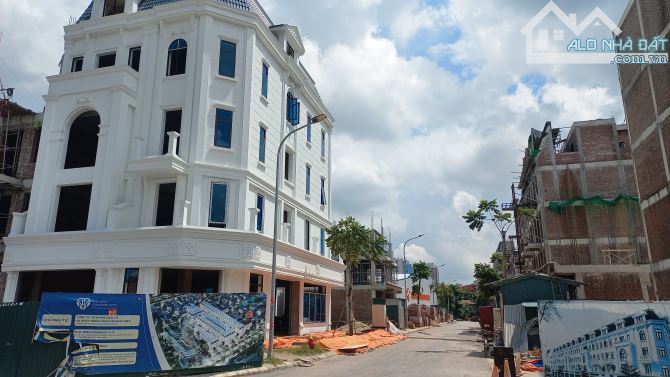 Dự án Thái bình Diamond City, gồm 74 lô - 1