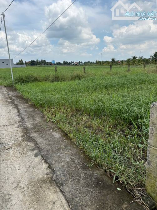 ✅ Bán 183.4m2 đất lúa cách 827B chỉ 400m thuộc Phú Ngãi Trị , Châu Thành _ DT: 4.5 x 40m2 - 1