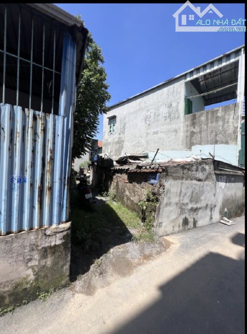 BÁN COMPO 3 LÔ ĐẤT*GIANG CHÍNH,BIÊN GIANG*10M RA Ô TÔ,ĐỒNG GIÁ 2,88 TY,SIÊU ĐẸP ĐỂ XÂY NHÀ - 1
