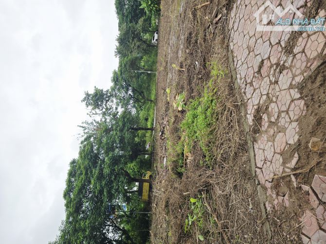 💥 BÁN LÔ ĐẤT 59m² KHU PHÂN LÔ AN TRÌ – HỒNG BÀNG, HẢI PHÒNG 💥 - 1