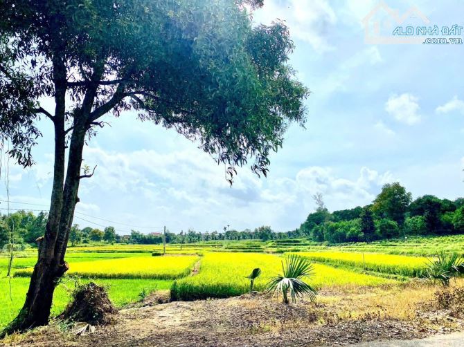 2001m2 ĐẤT LÁNG DÀI - XÃ ĐẤT ĐỎ - TP HCM; VIEW RUỘNG LÚA SIÊU ĐẸP 🌈DT 2000m2 - sẵn 200m2 - 1