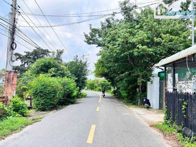 🏡 Bán nhà cấp 4 trên đất 460m² Phước Hải – Long Đất, BRVT gần biển - 1