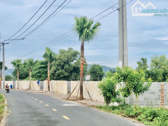 🏡 BÁN ĐẤT MẶT TIỀN NHỰA – LONG MỸ CŨ, PHƯỚC HẢI, 190M², 80M² THỔ CƯ, GẦN BIỂN GIÁ 2,xx TỶ - 1