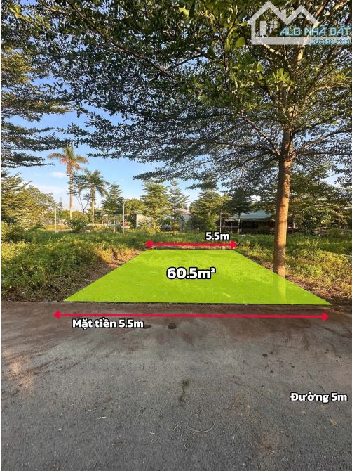 Siêu vị trí trung tâm Đồng Trạng – Cổ Đông, đất 60,5m² gần trường, chợ, hạ tầng hoàn thiện - 1