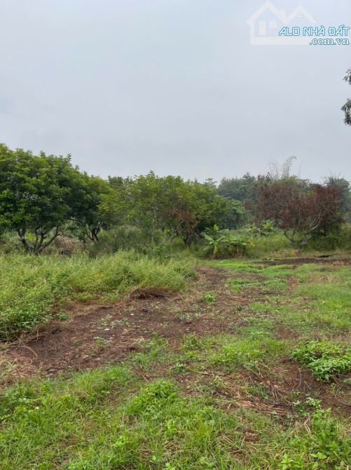 🌿 CHỈ 2 TỶ 550 TRIỆU – ĐẤT VIEW SUỐI P.KHÁNH XUÂN 🌿 - 2