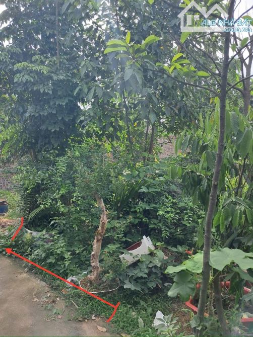 💥💥💥 MẢNH ĐẤT HIẾM – Ô TÔ ĐỖ CỬA – GẦN HỒ ĐIỀU HÒA – VỊ TRÍ - THƯỢNG CÁT -BẮC TỪ LIÊM - - 2