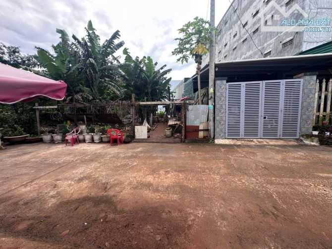 ĐẤT YMOAN RẺ TRÁI PHƯỜNG BMT ⏩️⏩️ - 2